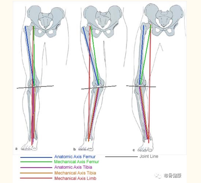 ����ҽ�ƣ����ǿ���ҽ������