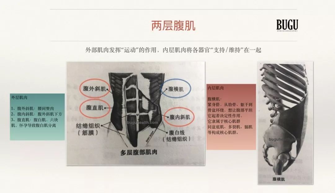 ���ǲ���ָ�����