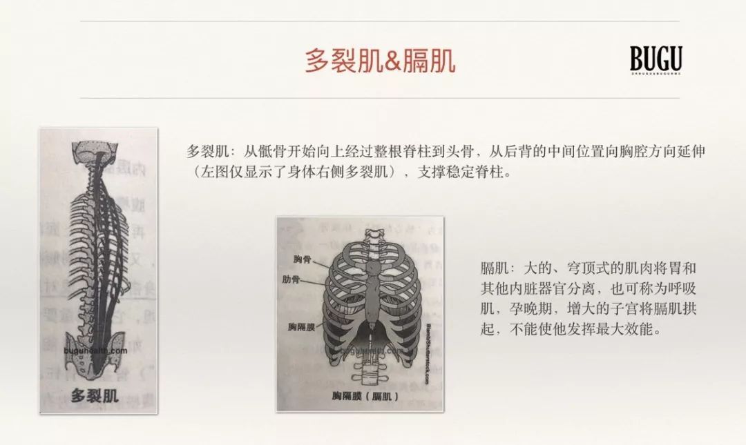 ���ǲ���ָ�����