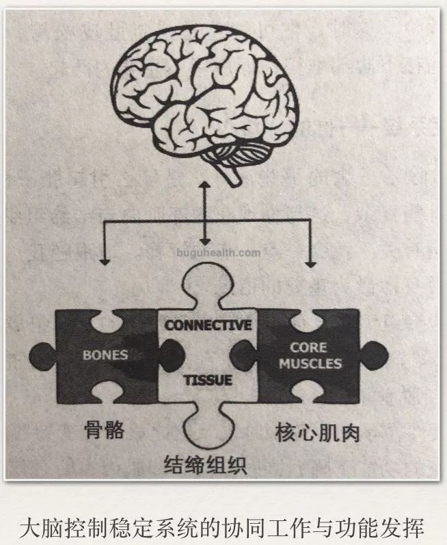 ���ǲ���ָ�����