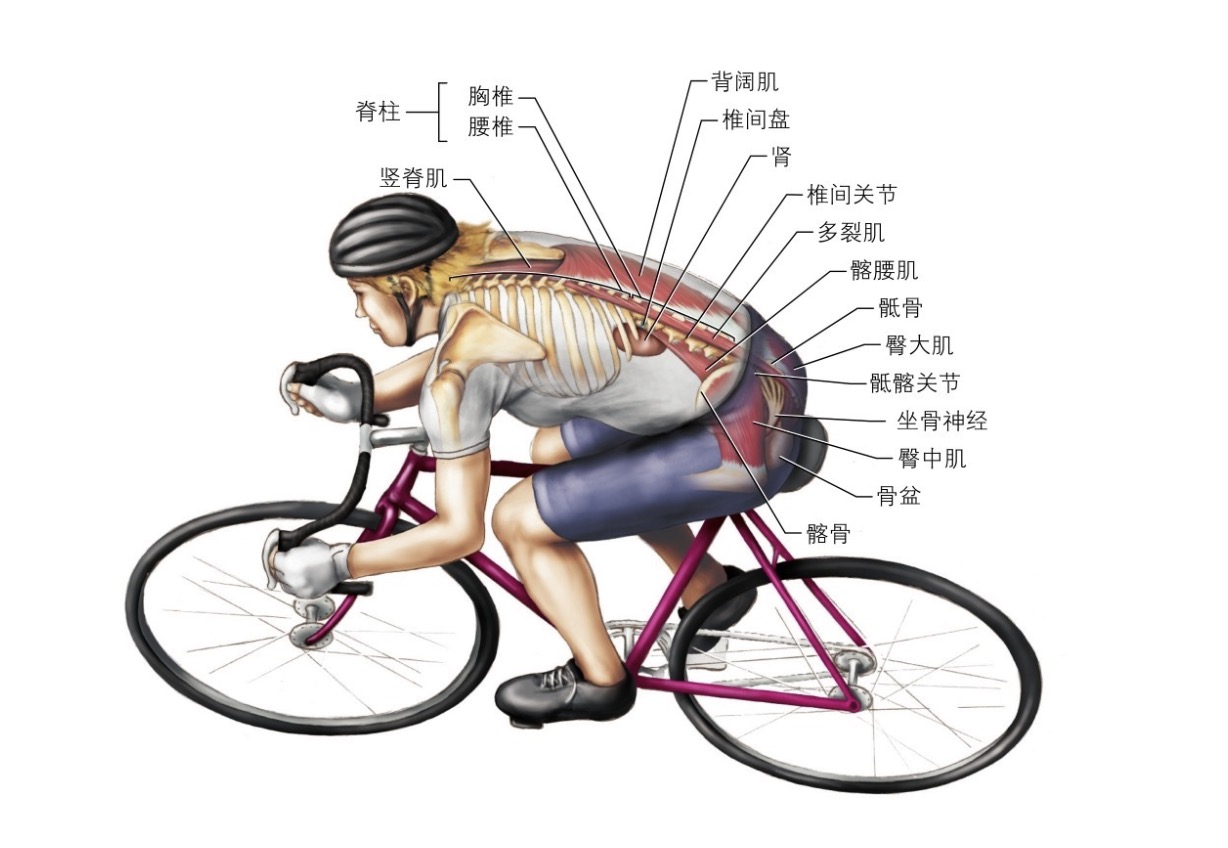 �����˶�����ҽ������