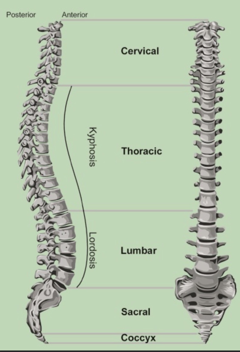 ���Ǽ��������������