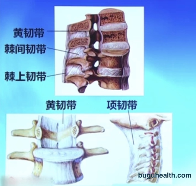 ���ǿ���ҽ������/�����ʹ�����