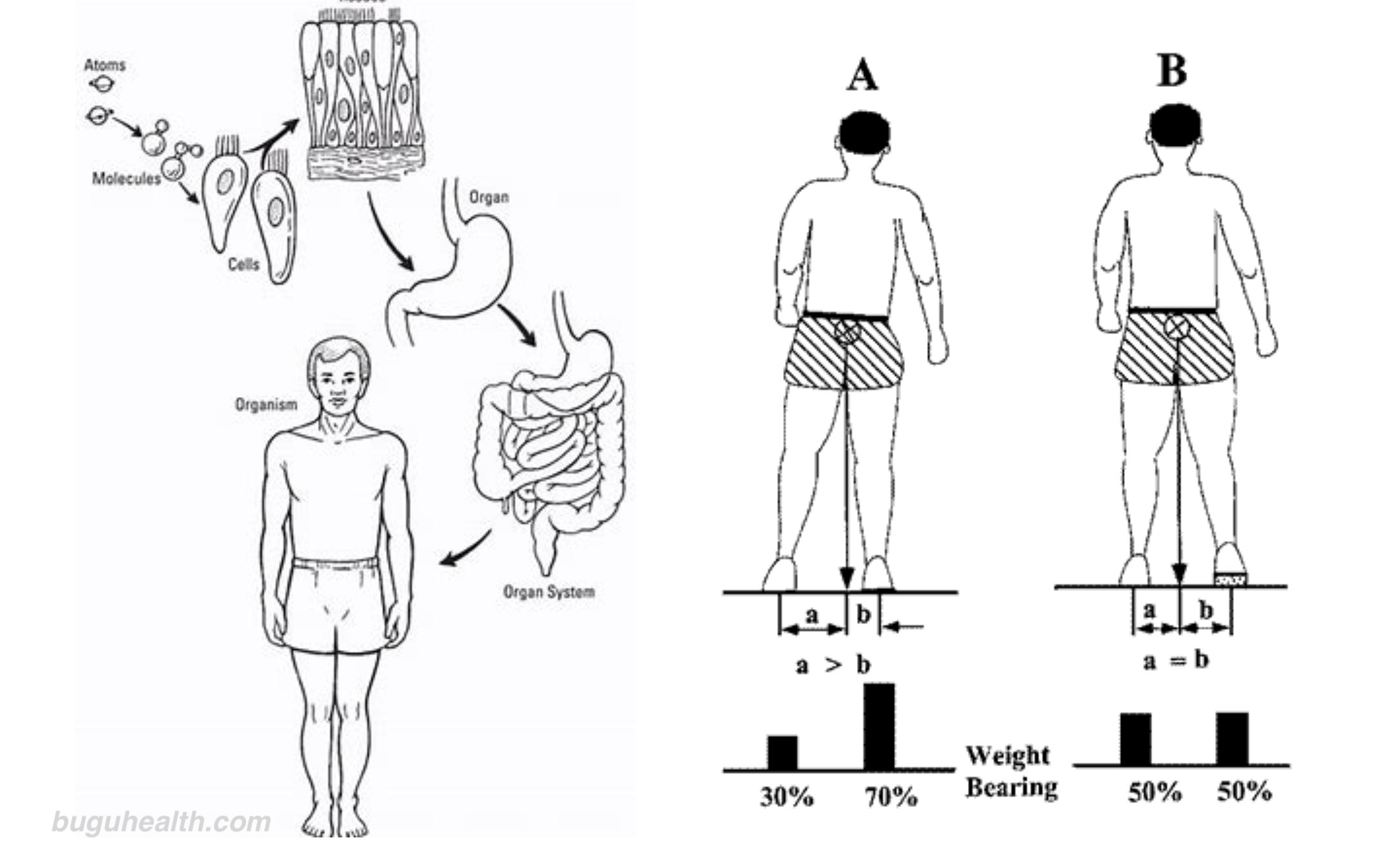 ��������/����