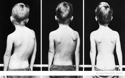 �����������/����