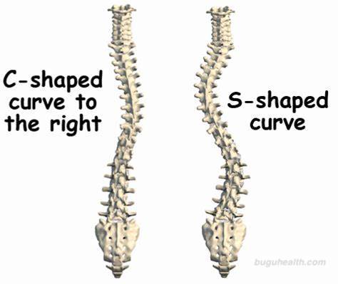 ��������/����