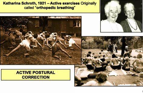 Schroth ��ά��������