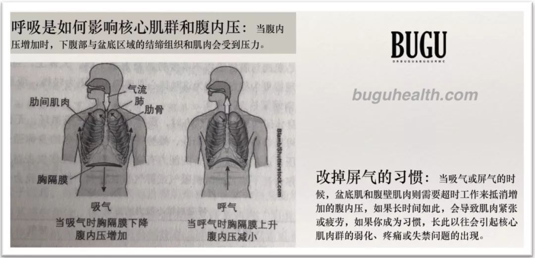 ���ǲ���ָ�����