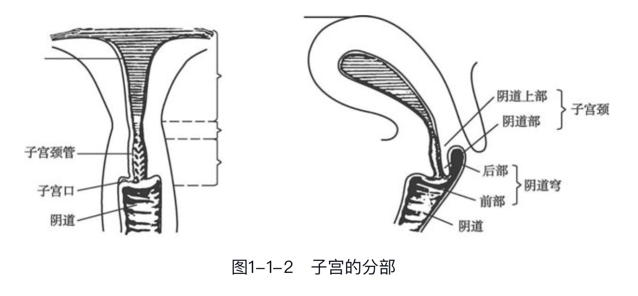 ���ǲ���ָ�����