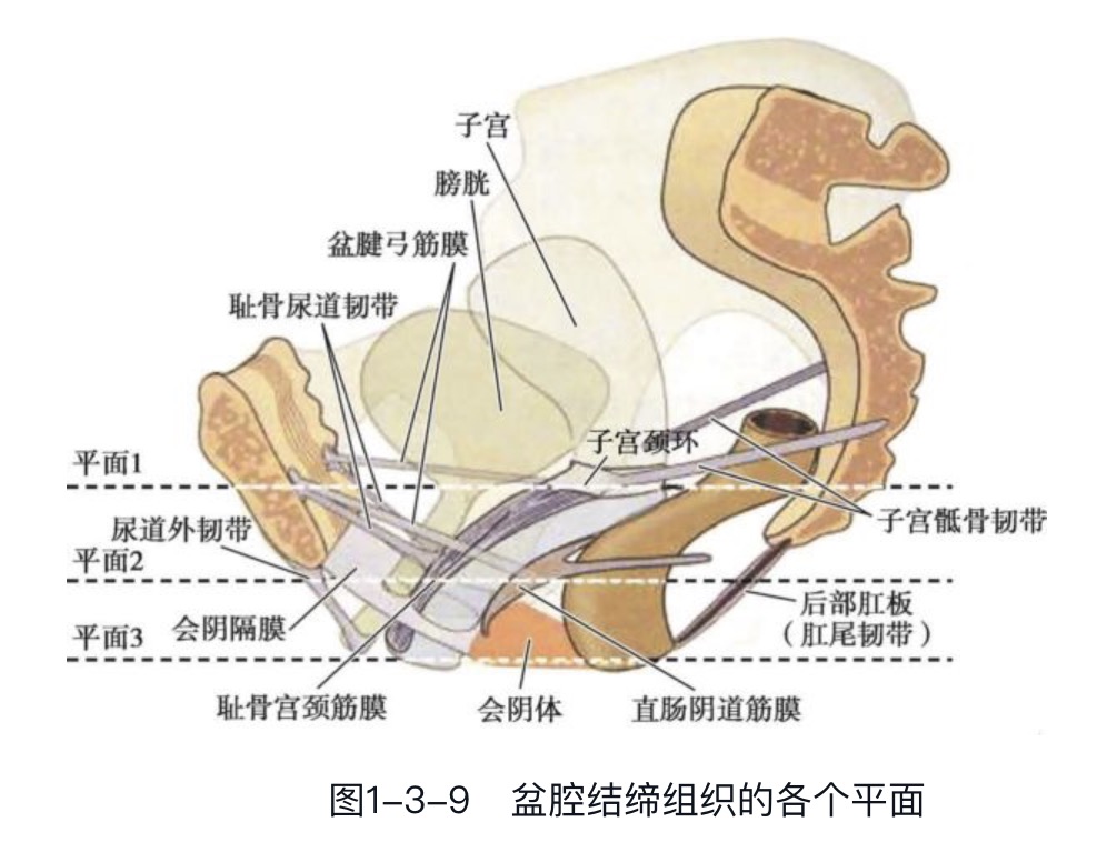 ��׽����֯