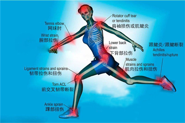 ҽ�Ʊ��� ���ǿ���ҽ������ �˶�����