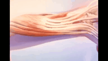 �Ź��������ף�������