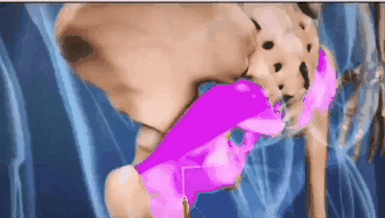 ��״���ۺ��� ������ʹ