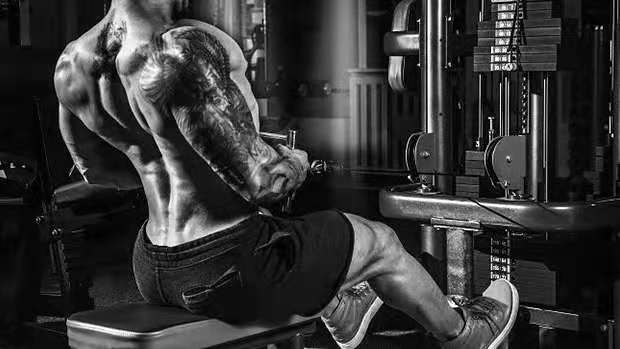 �����˶�����