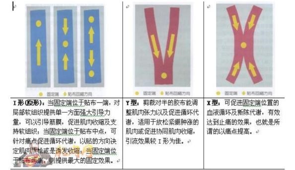 �����˶�����