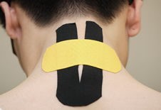 �����˶�����