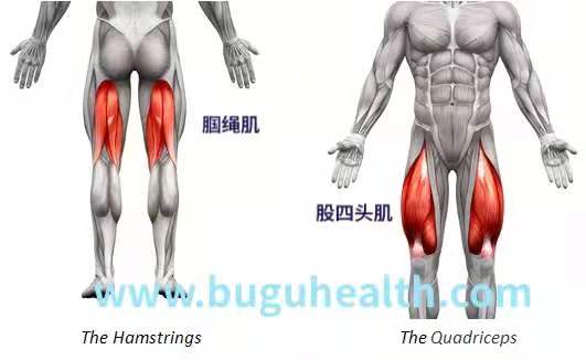 �����˶�����