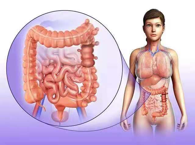 �����˶�����