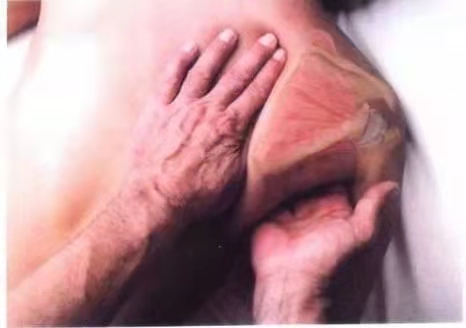 �����˶�����