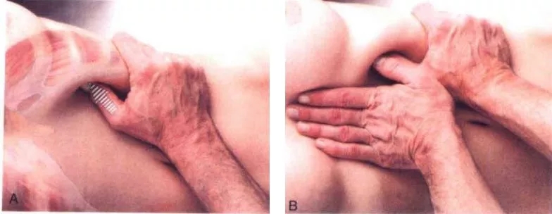 �����˶�����