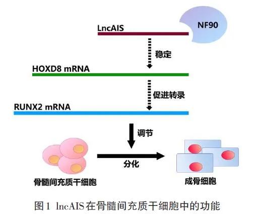 �������ģ��������䣬���ǿ���