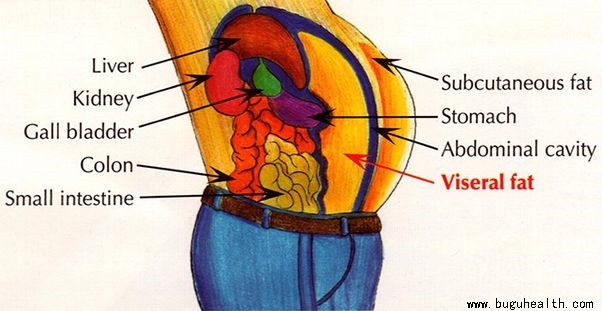 ���ǿ���ҽ������