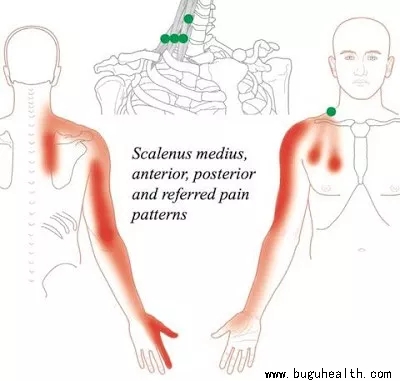 ���ǿ���ҽ������