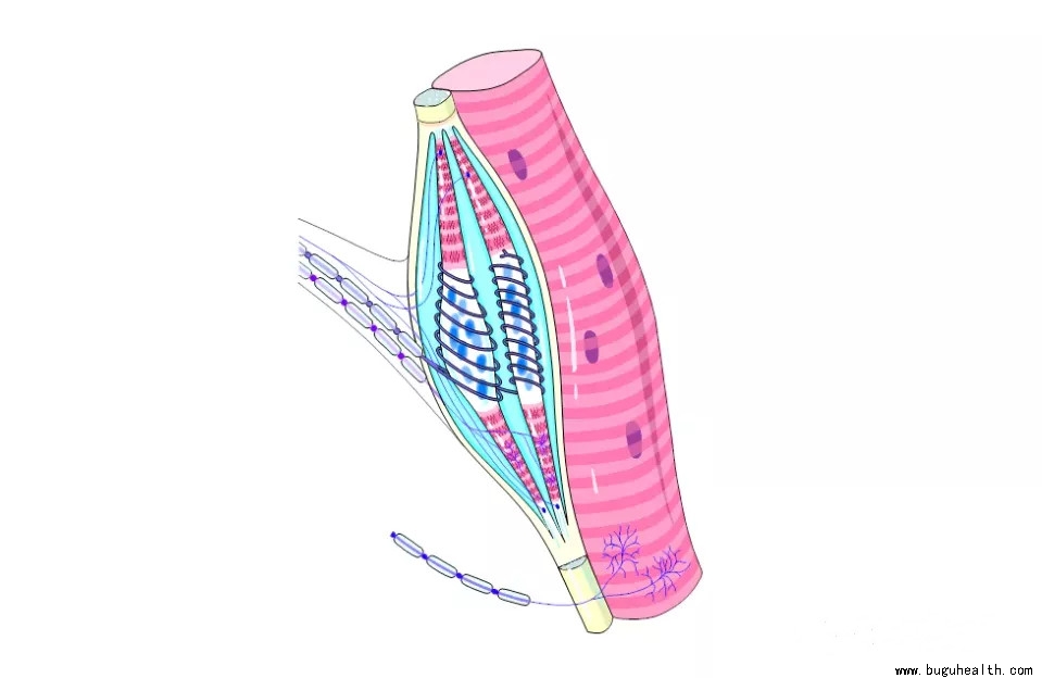 ���ǿ���ҽ������