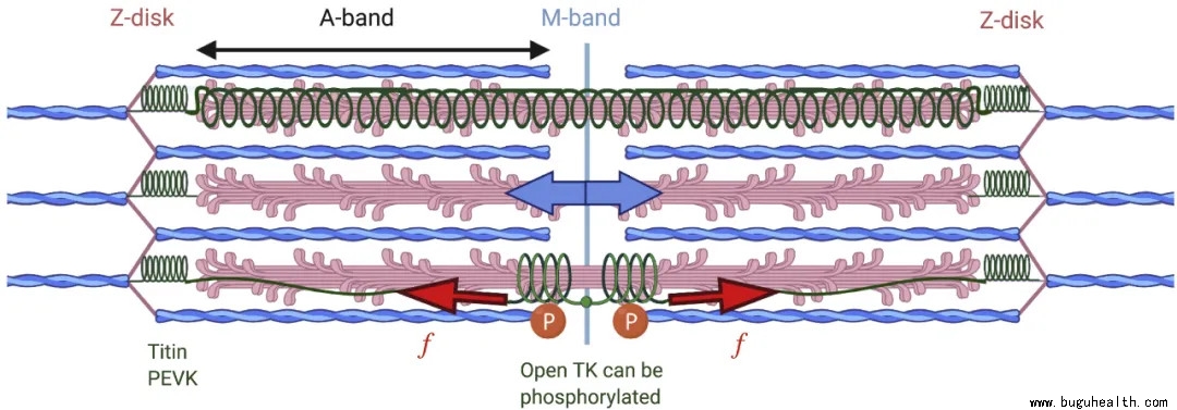 ���ǿ���ҽ������