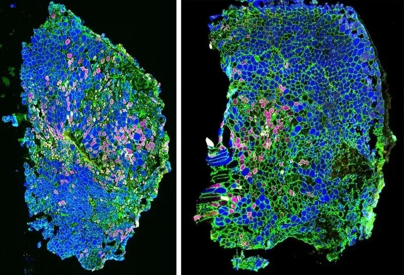 ���ǿ���ҽ������