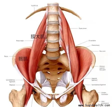 ���ǿ���ҽ������