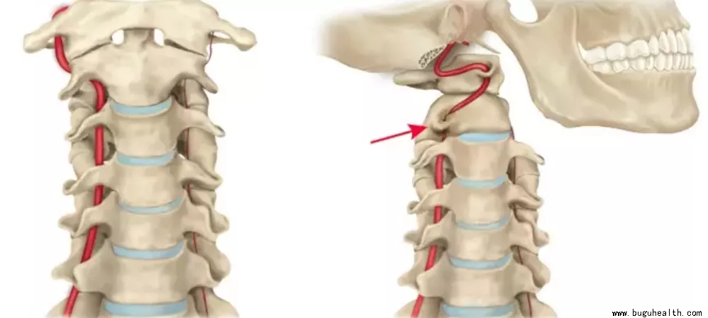 ���ǿ���ҽ������