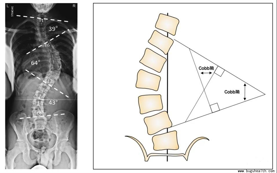 ���ǿ���ҽ������