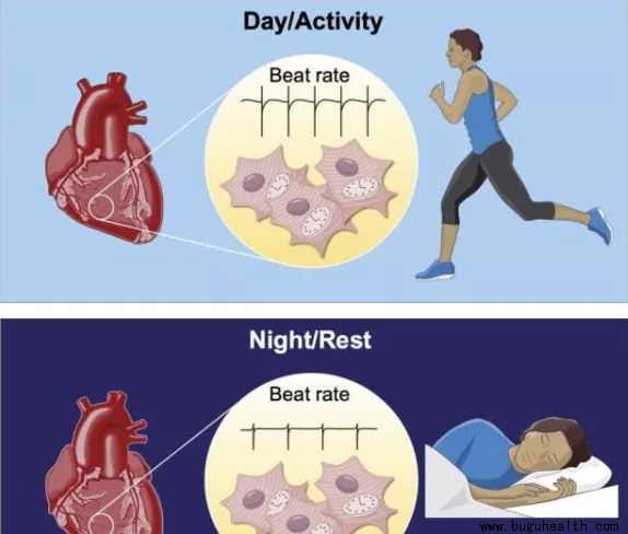 ���ǿ���ҽ������