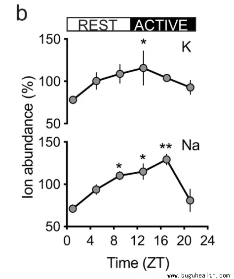 ���ǿ���ҽ������