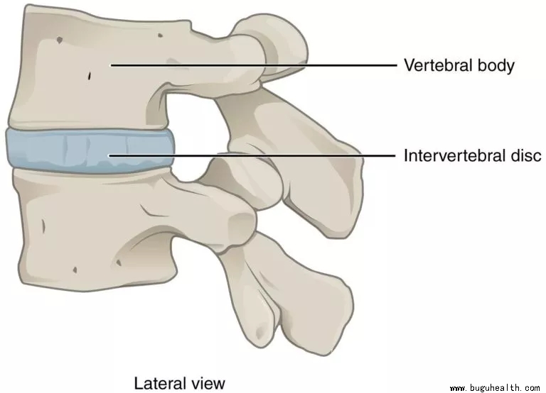 ���ǿ���ҽ������