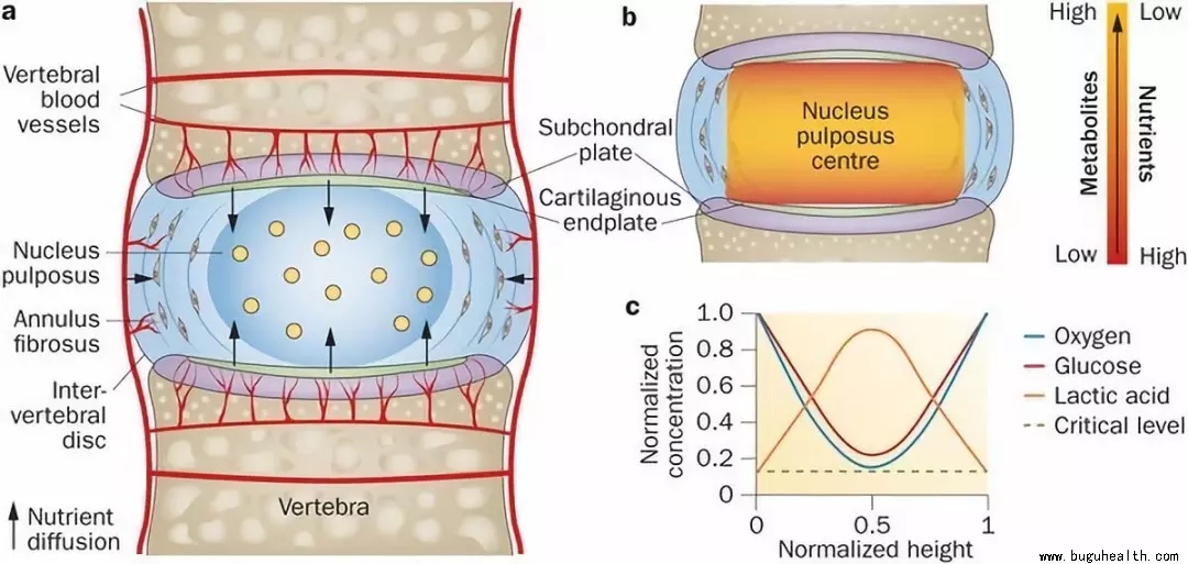 ���ǿ���ҽ������