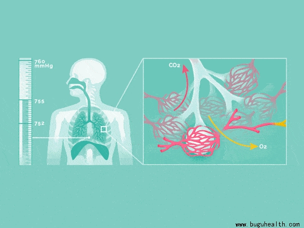 ���ǿ���ҽ������