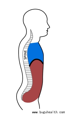 ���ǿ���ҽ������