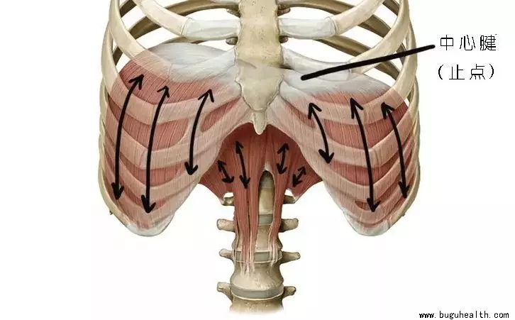 ���ǿ���ҽ������