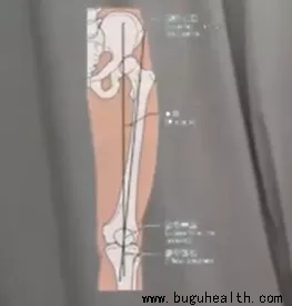 ���ǿ���ҽ������