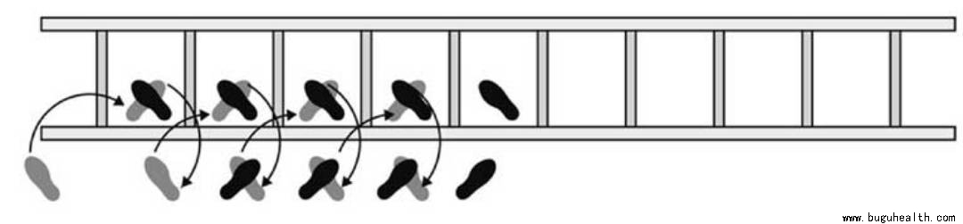 ���ǿ���ҽ������