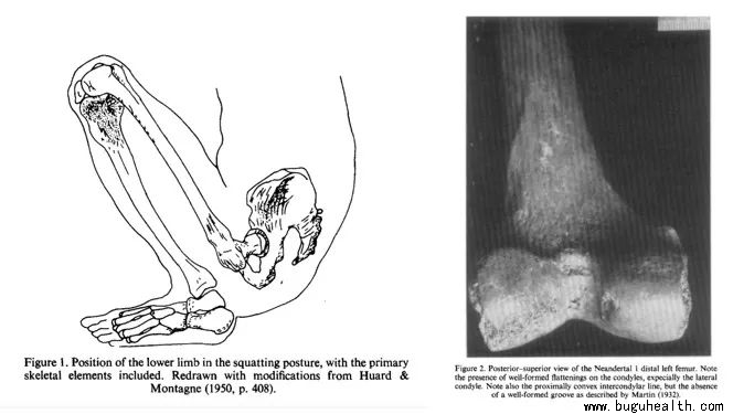 ���ǿ���ҽ������