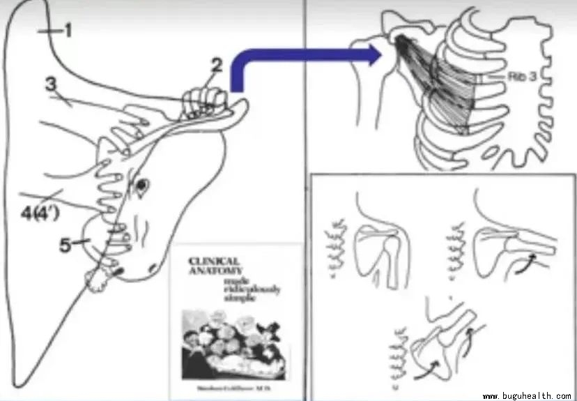 ���ǿ���ҽ������