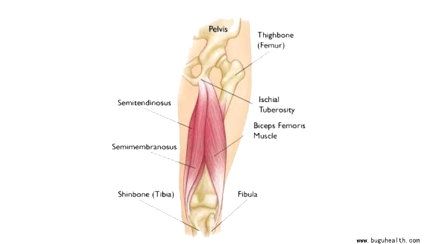 ���ǿ���ҽ������