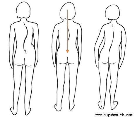 ����,��������,�����������