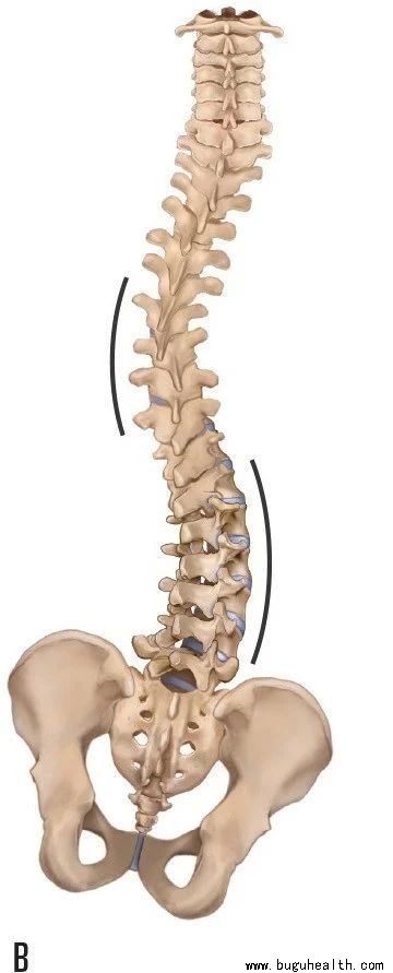 ����,��������