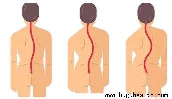 ��������,������������,