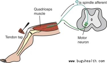 ����,�˶�����