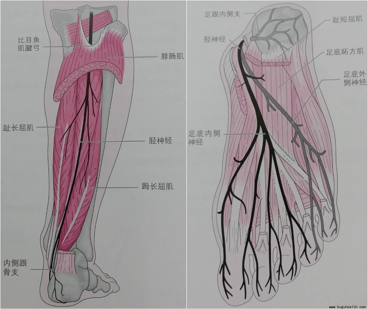 ����,ϥ�ؽ���ʹ